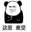 熊猫人 这里 难受 斗图