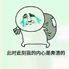 此时此刻我的内心是奔溃的 金馆长 眼泪 包袱 补丁 难过