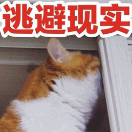 逃避现实 猫 拒绝