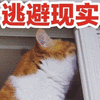 逃避现实 猫 拒绝 可爱 呆萌