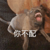 萌宠 汪星人 你不配 生气 搞怪 呆萌