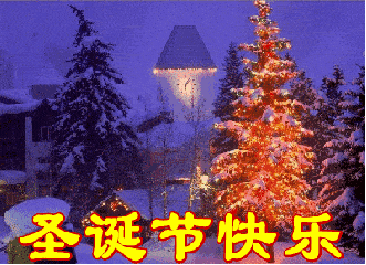 雪景 圣诞节快乐 圣诞树 树挂