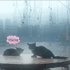 梅雨季 暴雨 搞笑 下雨天堵车好麻烦