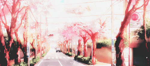 动漫 马路 车辆 樱花树