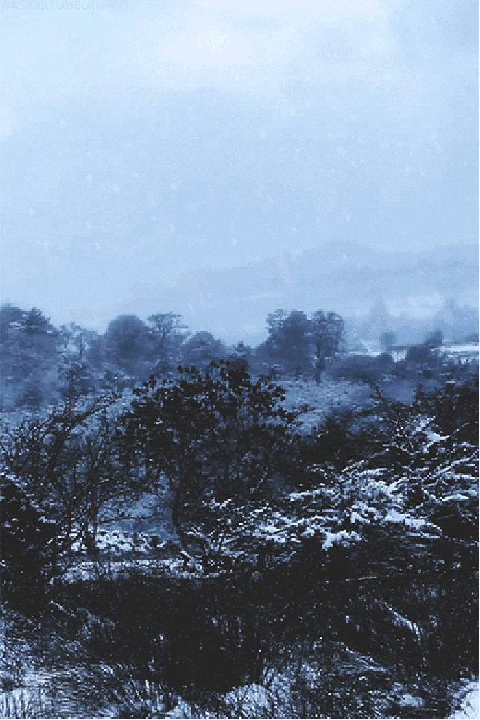 下雪 美景 安静 清新