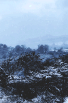 下雪 美景 安静 清新