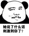 熊猫头 猥琐 说了什么话 刺激到你了 斗图 搞笑 猥琐
