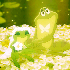 青蛙 婚礼 握手