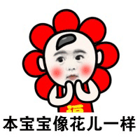花朵 可爱 春节