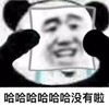 暴漫 文字表情包 哈哈哈哈哈没有啦 搞笑 沙雕 魔性