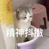萌宠 喵星人 精神抖擞 坐在盆里 呆萌 可爱