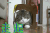 走起