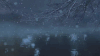 下雪 湖水 树枝 动态