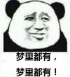 斗图 熊猫人 梦里都有