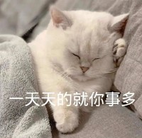 萌宠 猫星人 一天天的就你事多 嫌弃 呆萌 可爱