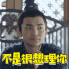 扶摇 蒋龙 小七 不是很想理你 soogif soogif出品