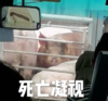 萌宠 猪猪 文字表情包 堵车 搞笑