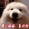 喜欢 小姐姐喜欢你