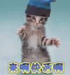 来啊快活啊 搞怪