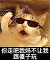 搞笑 喵星人 墨镜 你走吧我妈不让我跟傻子玩