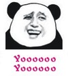 Yoooooo 金馆长 熊猫 表里不一 猥琐