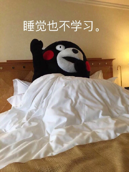 熊本熊 赖床 不起 睡觉也不学习