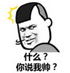 什么 你说我帅 斗图 搞笑 猥琐