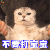 萌宠 猫咪 猫 伤心 不要打宝宝 宝宝知道错了 soogif soogif出品