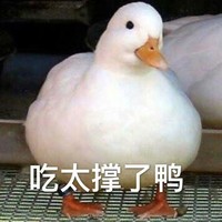 萌宠 鸭子 吃太撑了鸭 胖嘟嘟 搞怪 呆萌