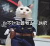 萌宠 喵星人 你不对劲 跟我走一趟 搞怪 逗