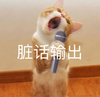萌宠 猫星人 脏话输出 骂人 搞怪 呆萌