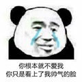 熊猫人 你根本就不爱我 你只是看上了 我帅气的脸 哭