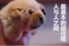 狗狗 奶狗 可爱 捂脸 人与人 信任
