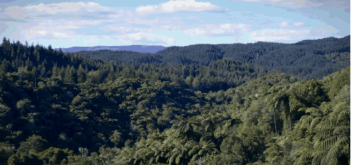 Aotearoa Ludovic&Gibert 宣传片 山脉 新西兰 森林 风景
