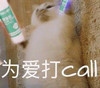 萌宠 猫星人 为爱打call 加油 呆萌 可爱