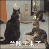 搞笑 萌宠 猫 喵星人 王者荣耀 快跑