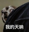 萌宠 汪星人 我的天哪 怎么会这样 搞怪 淘气