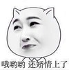 暴漫 文字表情包 哦哟哟还矫情上了 搞怪 沙雕 魔性