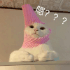 萌宠 猫星人 嗯 好奇 呆萌 可爱
