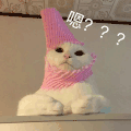 萌宠 猫星人 嗯 好奇 呆萌 可爱