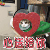 心送给你 猫 宠物 萌宠 喵星人 soogif soogif出品