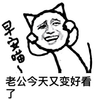 早安喵老公变好看了 斗图 搞笑 喵星人