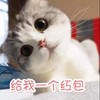 萌宠 猫星人 给我一个红包 讨红包 呆萌 可爱