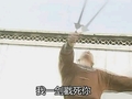 我一剑戳死你 蒙丹 还珠格格 恶搞