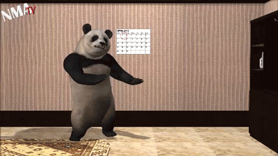 房间 熊猫 跳舞 影子