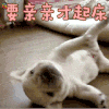 要亲亲才起床 狗狗 soogif soogif出品