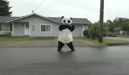 跳舞 熊猫