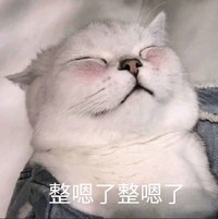 萌宠 喵星人 整嗯了 小脸红红 可爱 憨憨