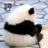 萌宠 熊猫 生气 哼 呆萌 可爱