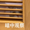 萌宠 猫星人 暗中观察 好奇 呆萌 可爱